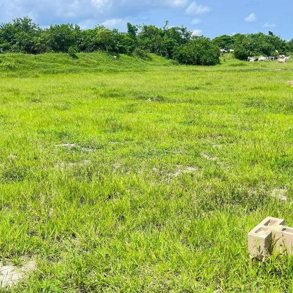 bona-fortuna-gallery-15