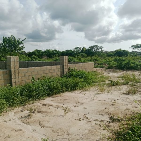 bona-fortuna-gallery-16