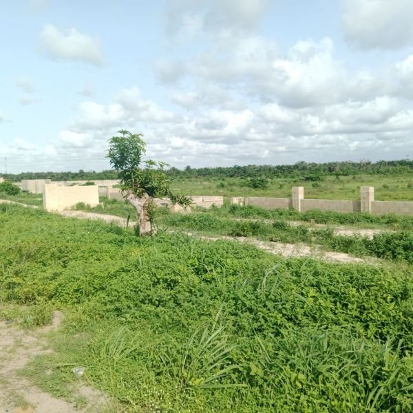 bona-fortuna-gallery-17