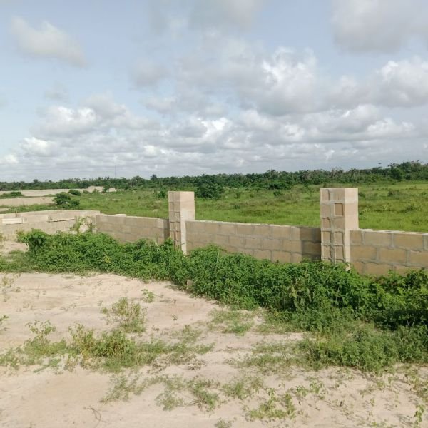 bona-fortuna-gallery-18