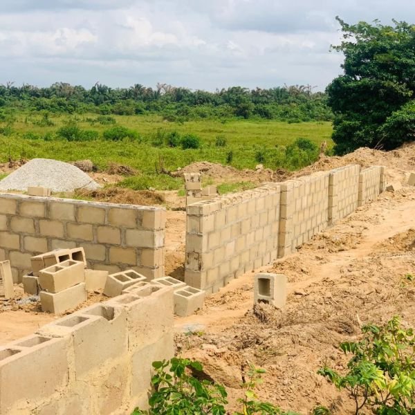 bona-fortuna-gallery-2