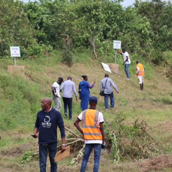 bona-fortuna-gallery-21