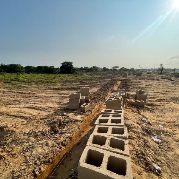 bona-fortuna-gallery-3