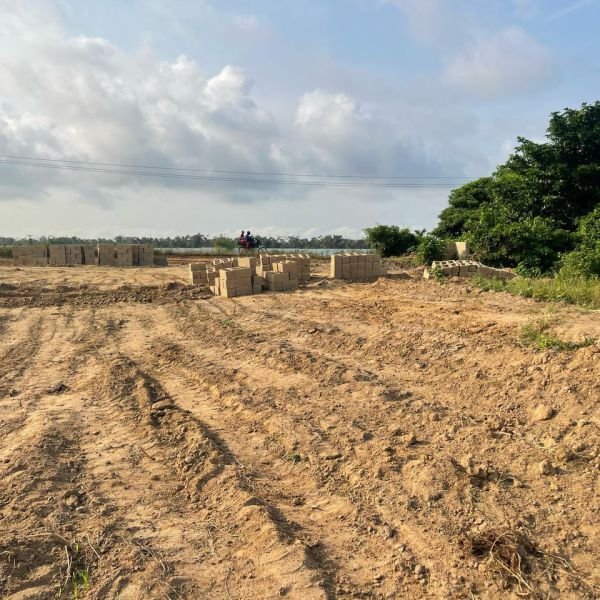 bona-fortuna-gallery-4