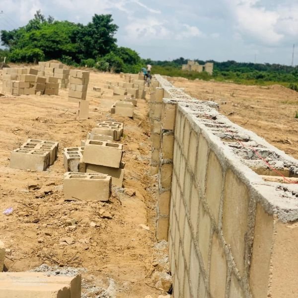 bona-fortuna-gallery-6