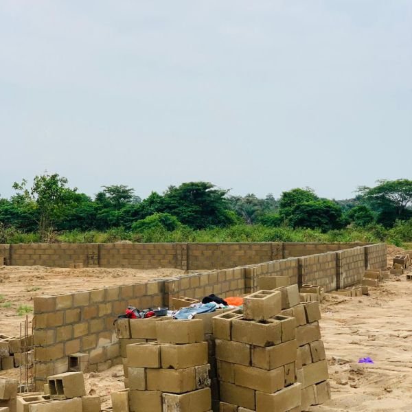 bona-fortuna-gallery-7