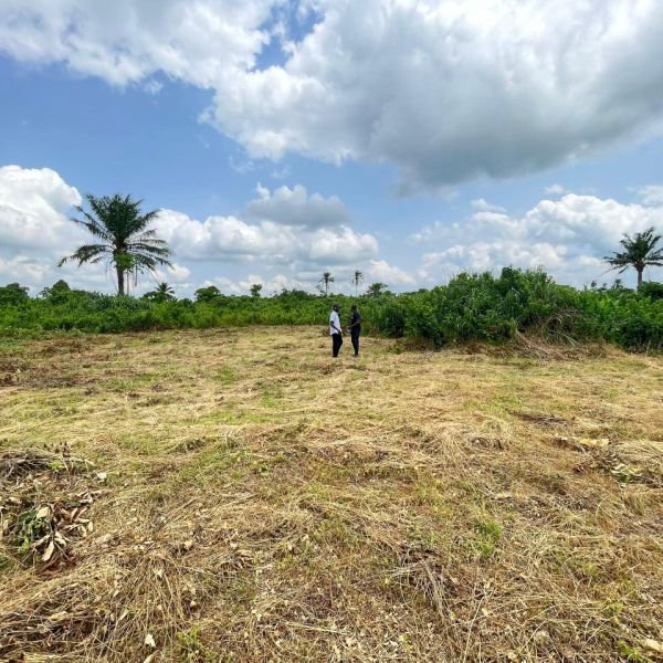 bona-fortuna-gallery-8